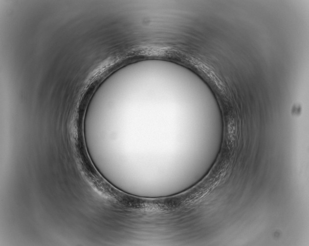 X0000099300682200805161349