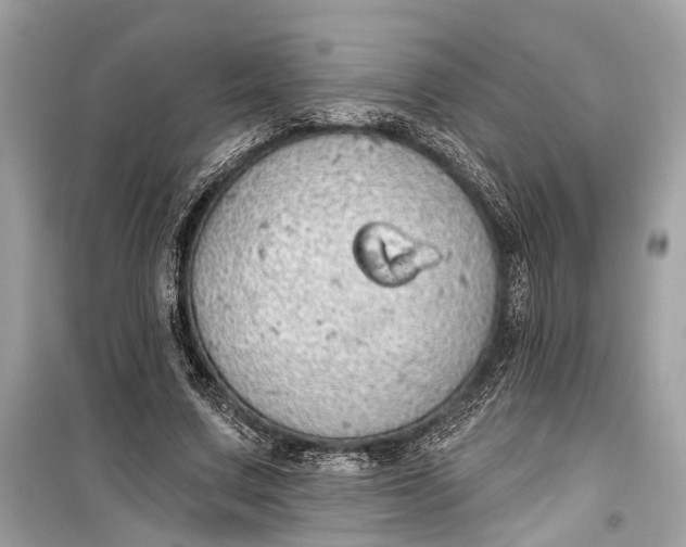 X0000099300683200805161349