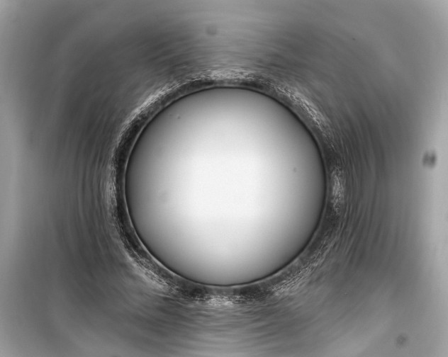 X0000099300684200805161349