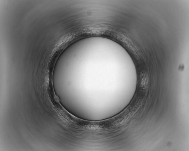 X0000099300685200805161349