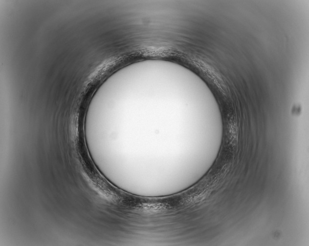 X0000099300686200805161349