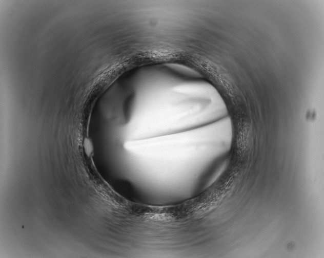 X0000099300689200805161349