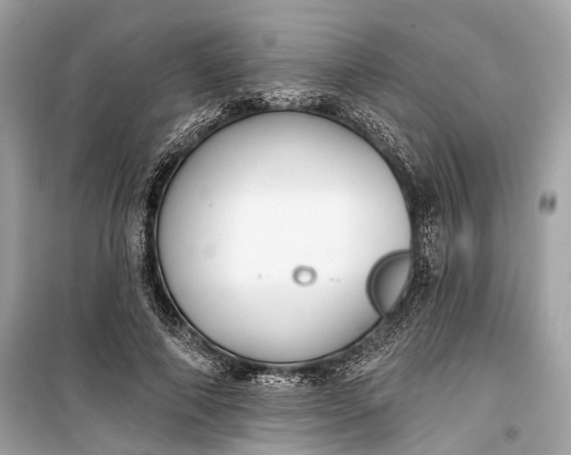 X0000099300690200805161349