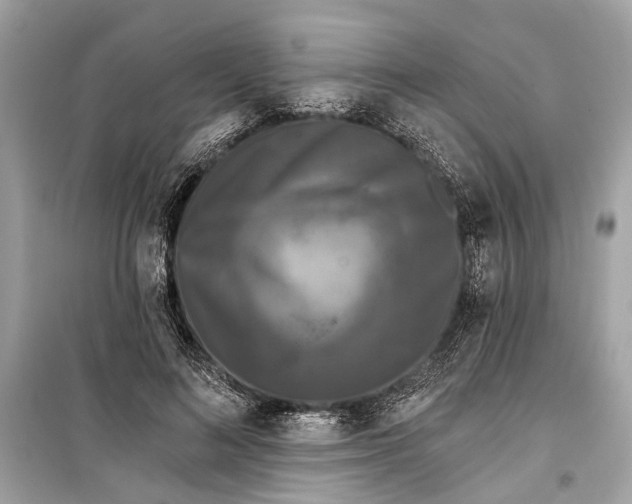 X0000099300692200805161349