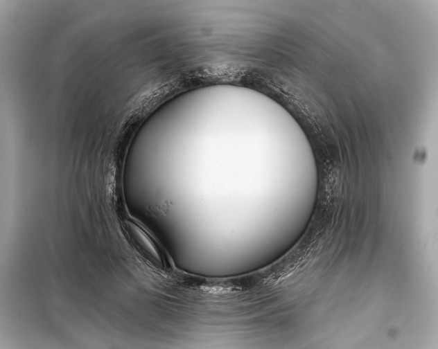 X0000099300693200805161349