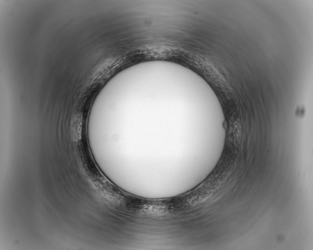 X0000099300694200805161349