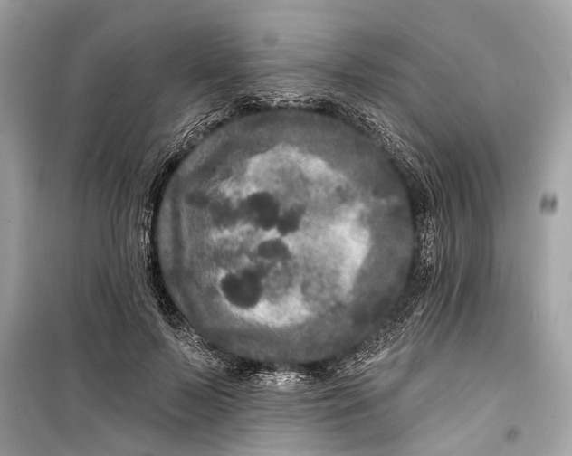 X0000099300695200805161349