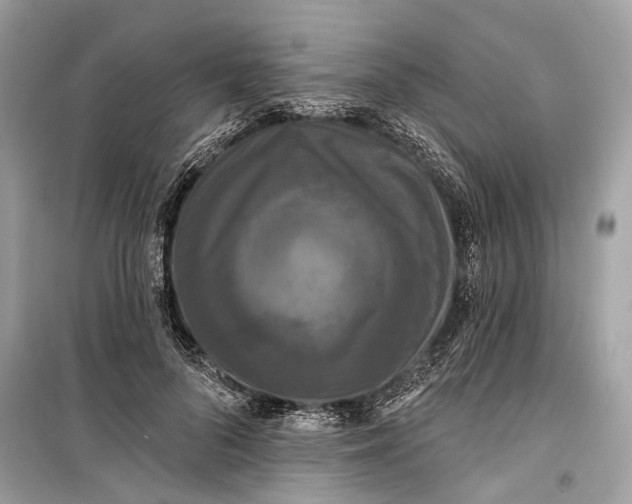 X0000099300696200805161349