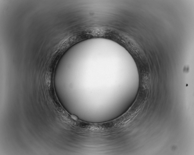 X0000099300697200805161349