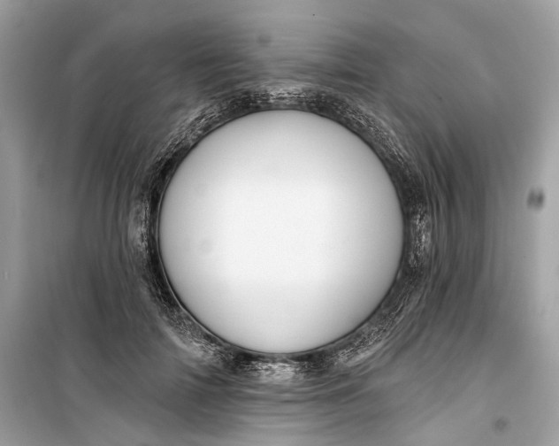 X0000099300698200805161349