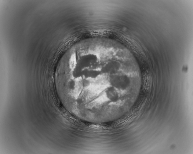 X0000099300699200805161349