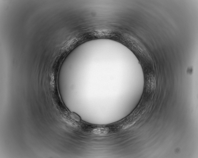 X0000099300700200805161349