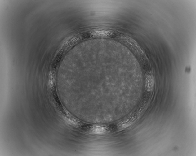 X0000099300701200805161349