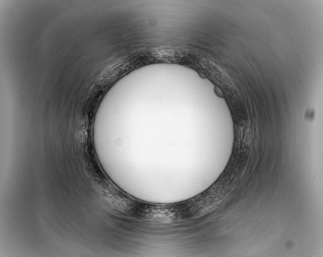 X0000099300702200805161349