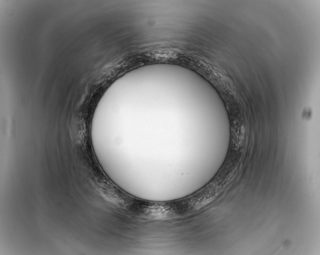 X0000099300704200805161349