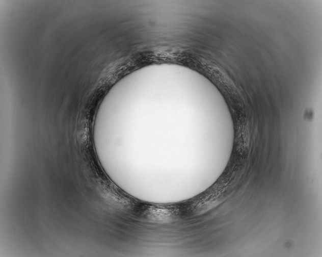 X0000099300706200805161349