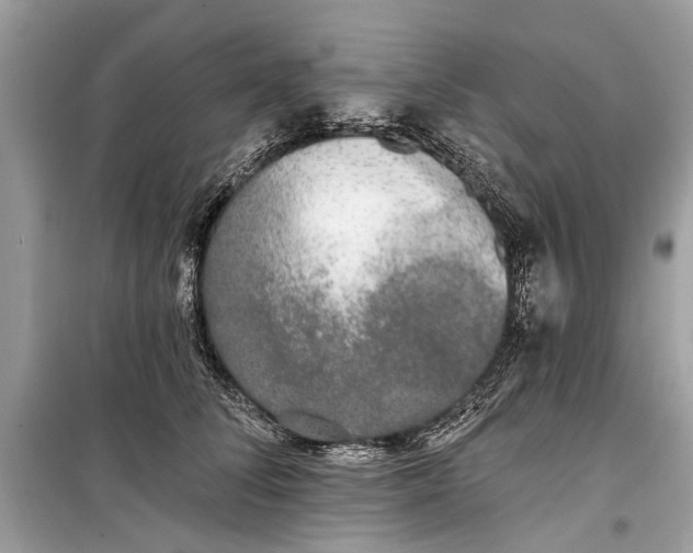 X0000099300708200805161349