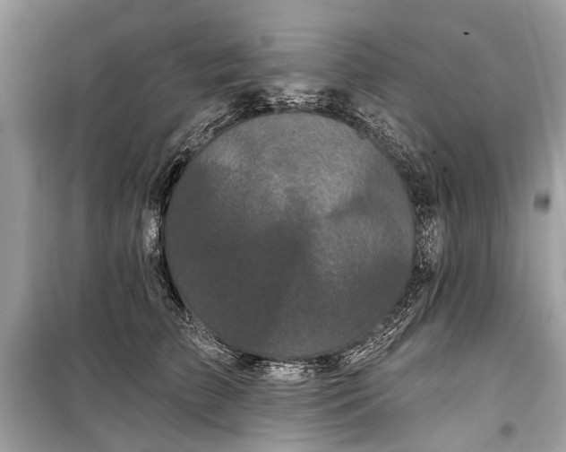 X0000099300709200805161349