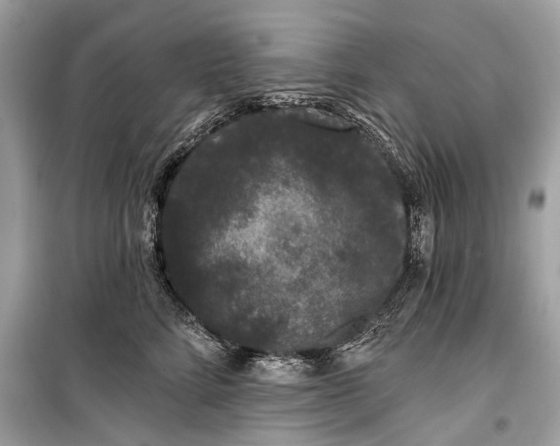 X0000099300712200805161349