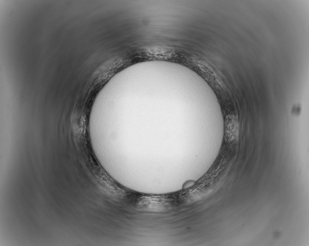 X0000099300713200805161349