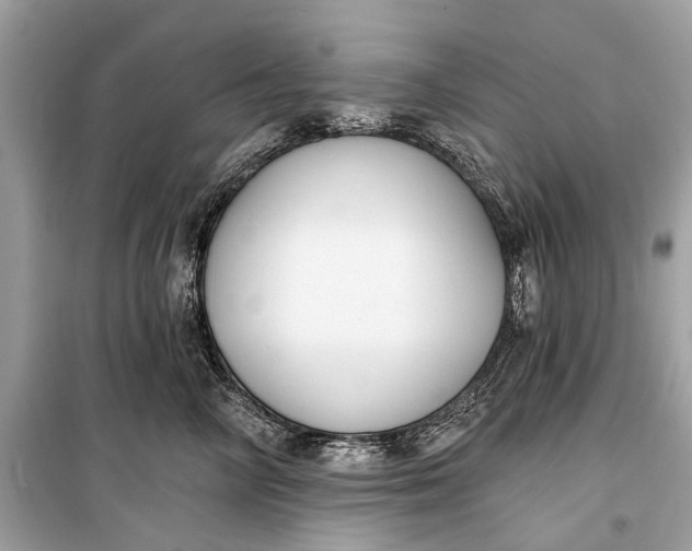 X0000099300714200805161349