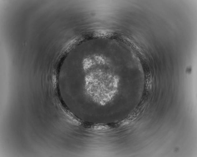 X0000099300716200805161349