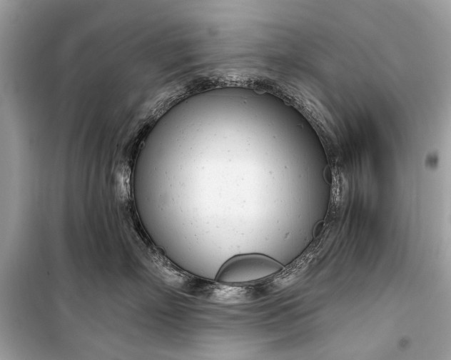 X0000099300718200805161349