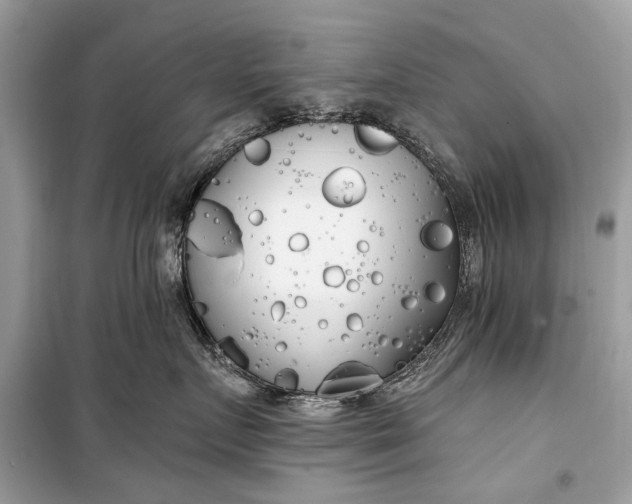 X0000099300719200805161349