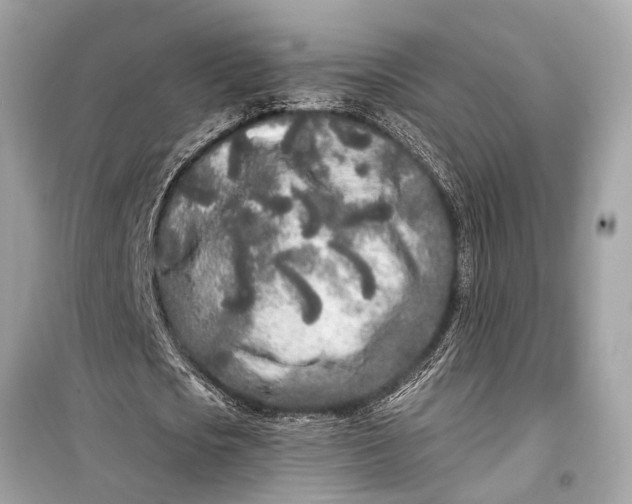 X0000099300721200805161348