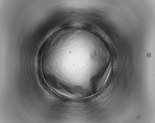 X0000099300722200805161348