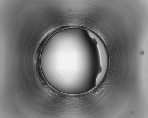 X0000099300723200805161348