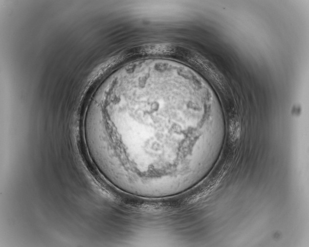 X0000099300725200805161348