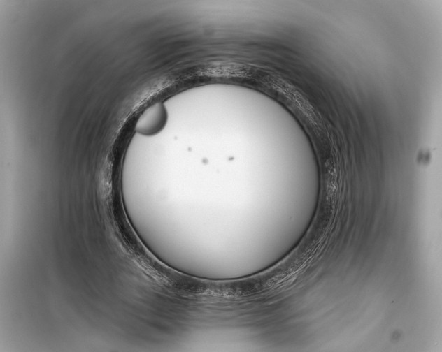 X0000099300727200805161348