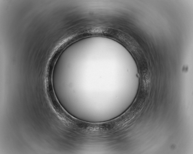 X0000099300728200805161348