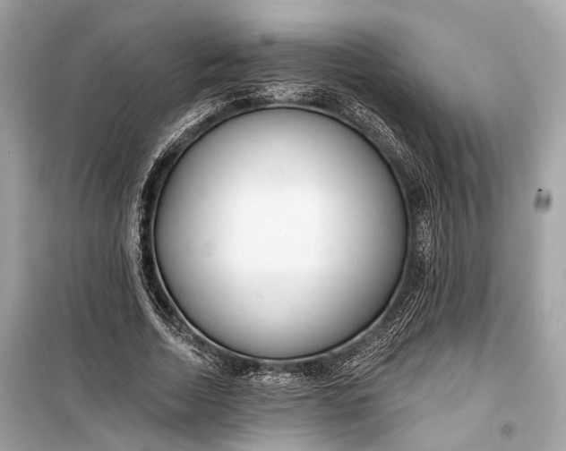 X0000099300730200805161348