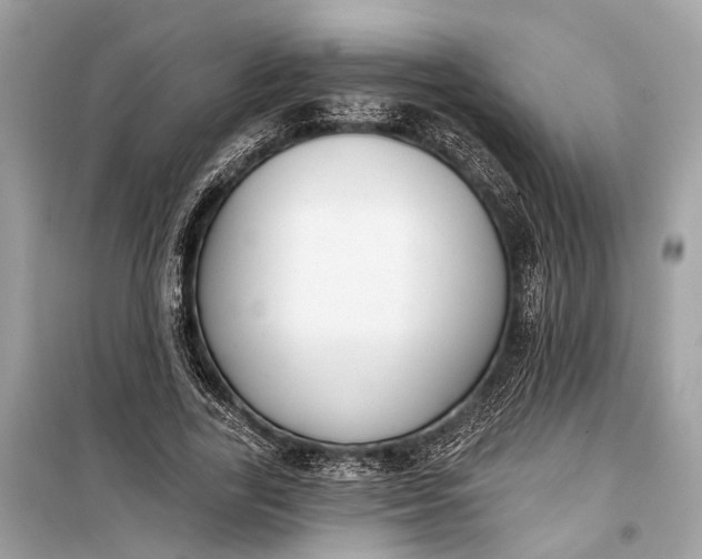 X0000099300731200805161348