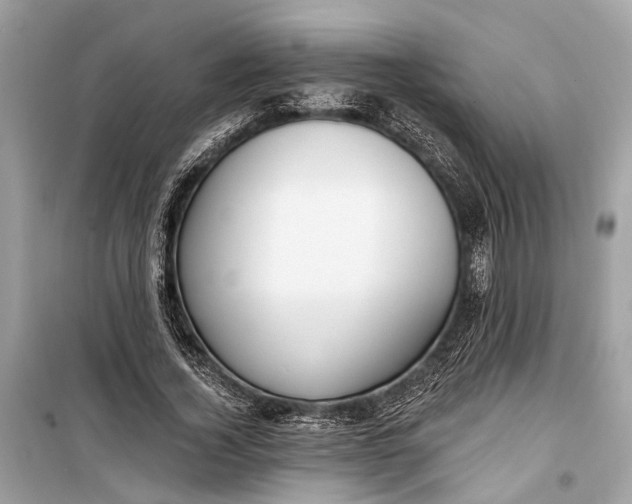 X0000099300732200805161348