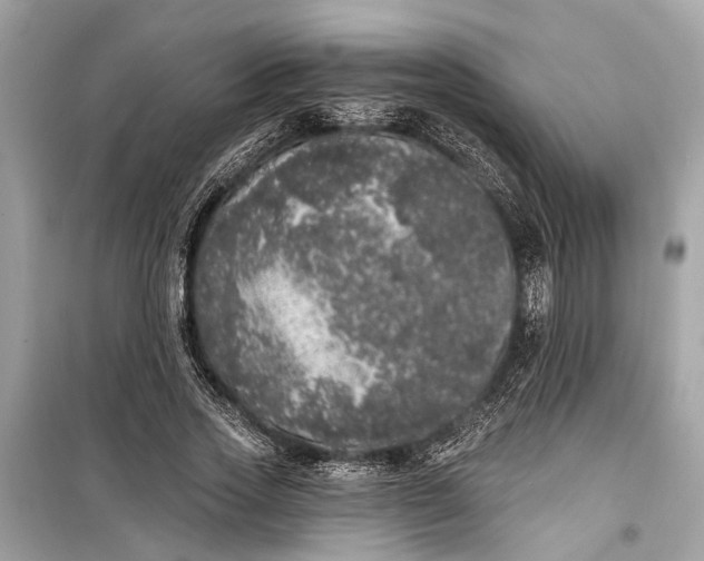 X0000099300733200805161348