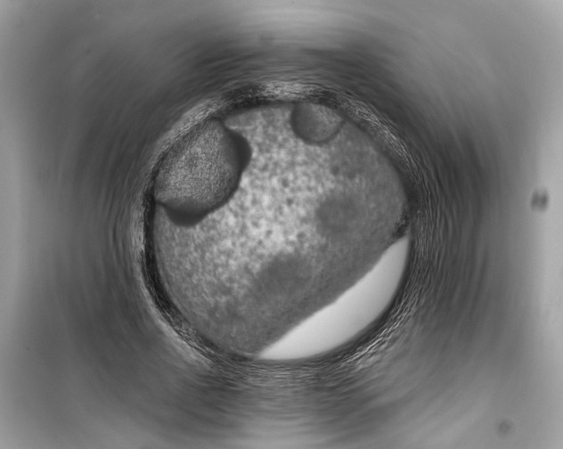 X0000099300734200805161348