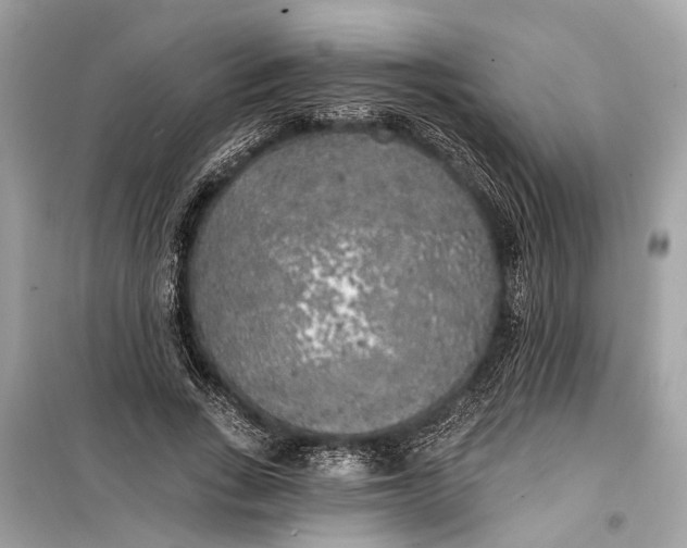 X0000099300735200805161348