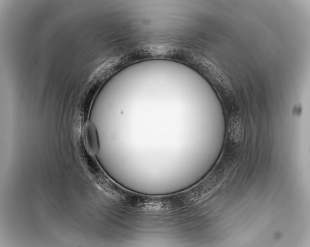 X0000099300740200805161348