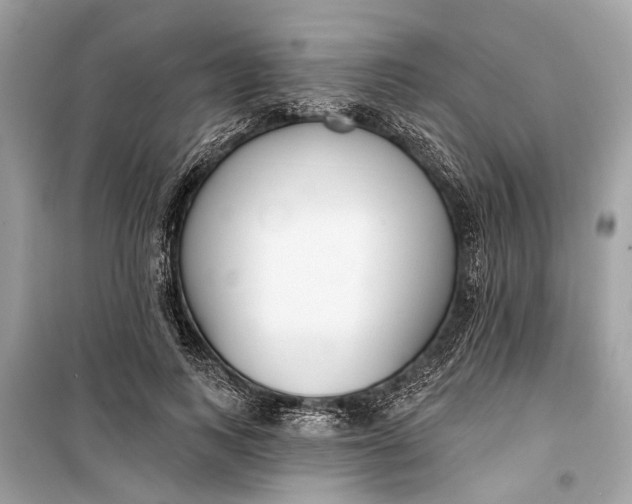 X0000099300743200805161348