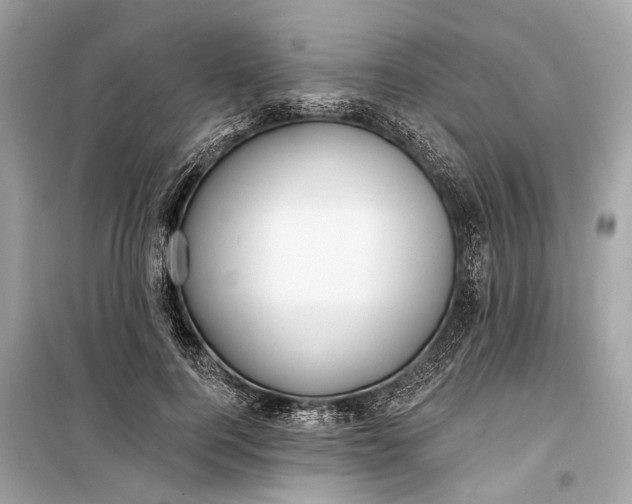 X0000099300744200805161348