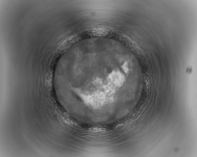 X0000099300745200805161348