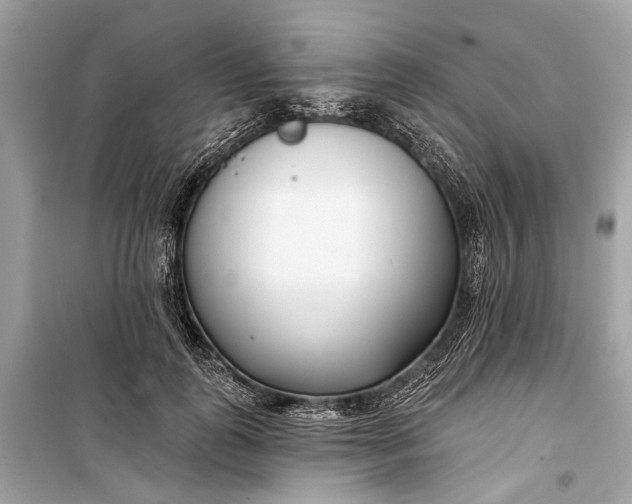 X0000099300747200805161348