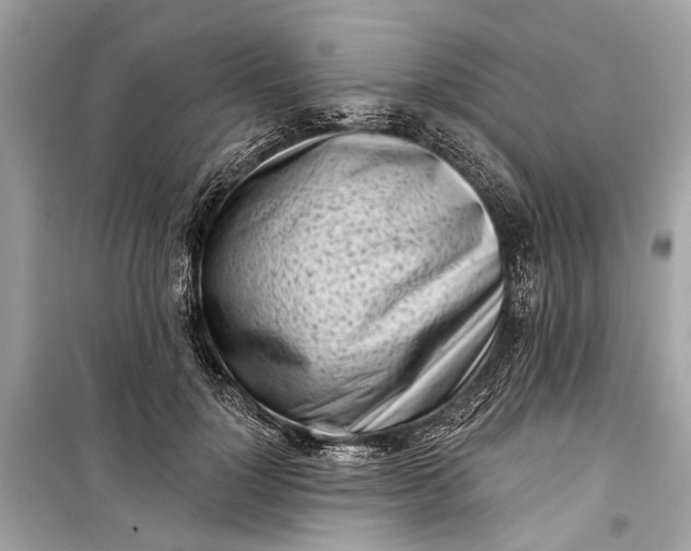 X0000099300748200805161348