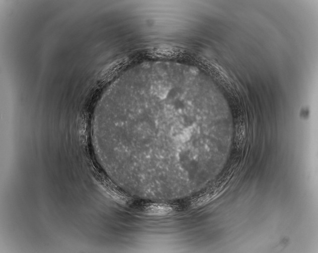 X0000099300749200805161348