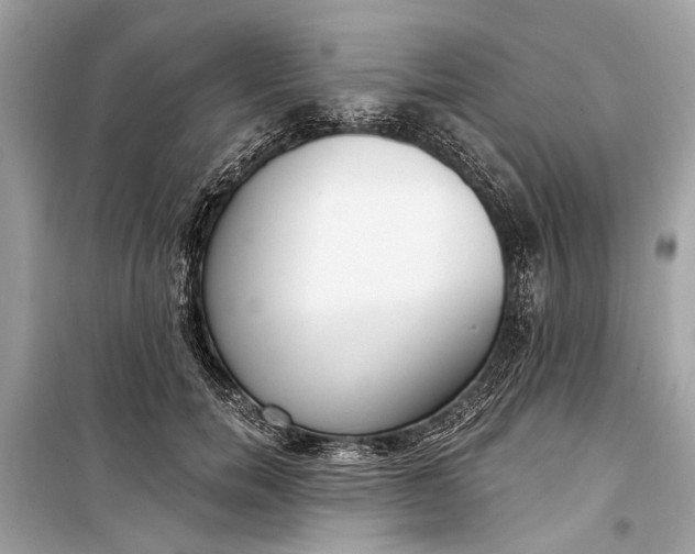 X0000099300750200805161348