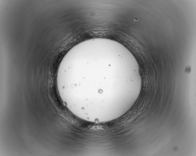 X0000099300751200805161348