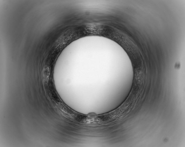 X0000099300752200805161348